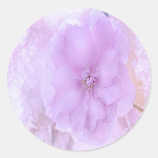 パープルパンシー ラウンドシール (正面)