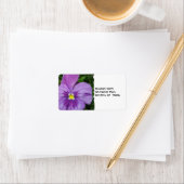 パープルパンシー ラベル (インサイチュ)