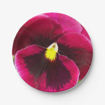 パープルパンジーの花