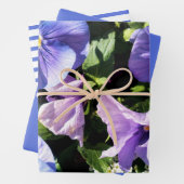 パープルパンジーストライプの花と無地の ラッピングペーパーシート (インサイチュ)