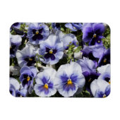 パープルパンジー マグネット (横)