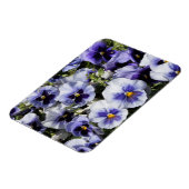 パープルパンジー マグネット (左側)