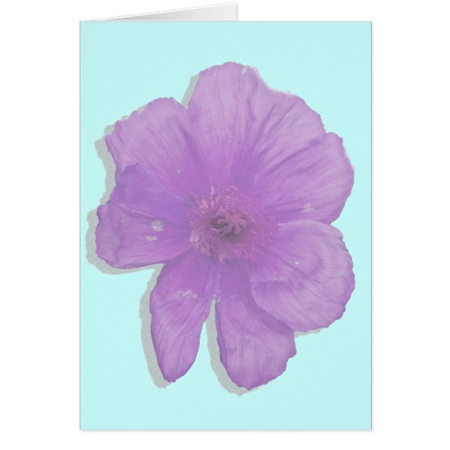 パープルパンチ/ポップアートの花 (正面)