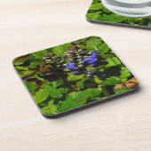 パープルビーバーム&のまわりに コースター (左側)