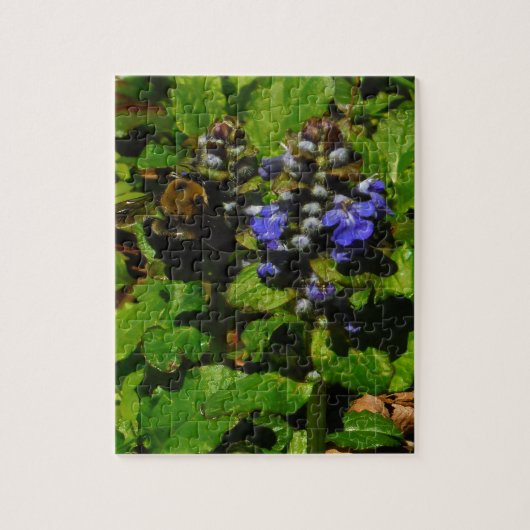 パープルビーバーム&のまわりに ジグソーパズル (縦)