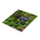 パープルビーバーム&のまわりに タイル (側面)