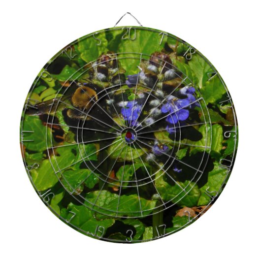 パープルビーバーム&のまわりに ダーツボード (正面)