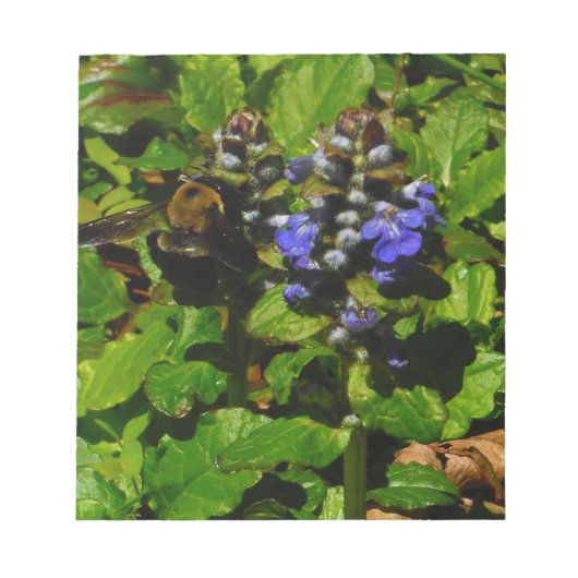 パープルビーバーム&のまわりに ノートパッド (正面)