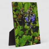 パープルビーバーム&のまわりに フォトプラーク (側面)