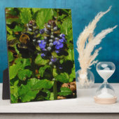 パープルビーバーム&のまわりに フォトプラーク (側面)