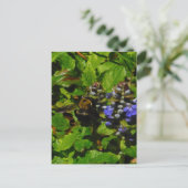 パープルビーバーム&のまわりに ポストカード (スタンド正面)