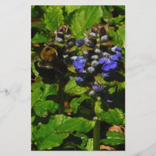 パープルビーバーム&のまわりに 便箋 (正面)