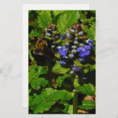 パープルビーバーム&のまわりに 便箋 (正面/裏面)