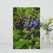 パープルビーバーム&のまわりに 便箋 (スタンド正面)