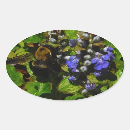 パープルビーバーム&のまわりに 楕円形シール (正面)