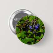 パープルビーバーム&のまわりに 缶バッジ (正面&裏面)