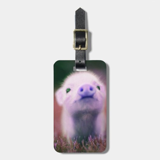 パープルピギー ラゲッジタグ (正面縦)