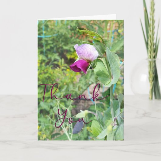 パープルピーフラワーフォトサンキューカード サンキューカード (正面)