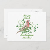 パープルフィンチニューハンプシャー州バード ポストカード (正面/裏面)