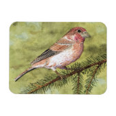 パープルフィンチマグネット マグネット (横)