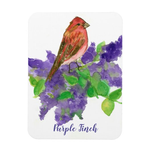 パープルフィンチライラック水彩花 マグネット (縦)