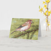 パープルフィンチ挨拶カード カード (黄色い花)