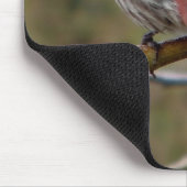 パープルフィンチ磁石 マウスパッド (コーナー)