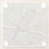 パープルフィンチ ガラスコースター (裏面)