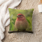 パープルフィンチ クッション (ブランケット)