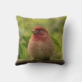 パープルフィンチ クッション (裏面)