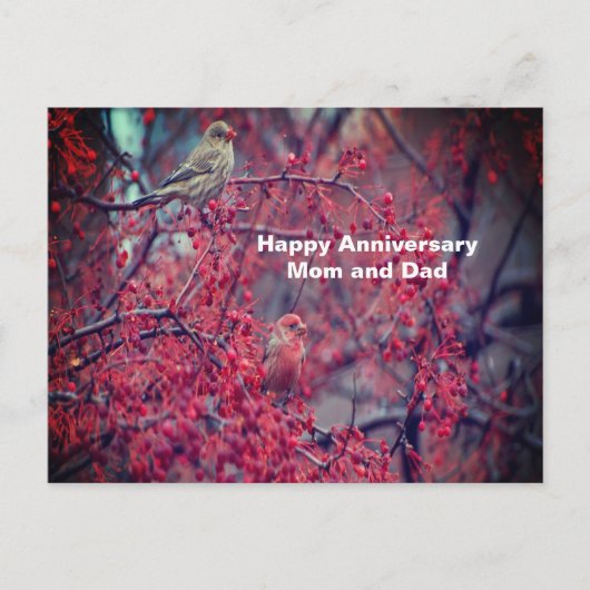 パープルフィンチ ポストカード (正面)