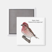 パープルフィンチ マグネット (正面/裏面)