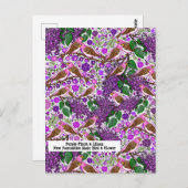 パープルフィンチ,ライラック – NH州バードアンドフラワー ポストカード (正面/裏面)