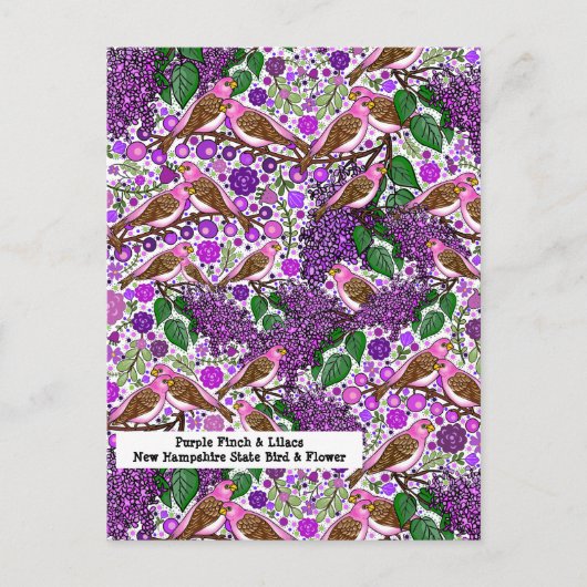 パープルフィンチ,ライラック – NH州バードアンドフラワー ポストカード (正面)
