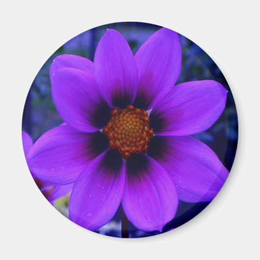 パープルフラワーアットデュスク マグネット (正面)