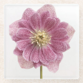 パープルフラワーガラスコースター ガラスコースター