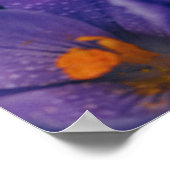 パープルフラワーズウォールアート | Purple Lotus Flower ポスター (角)