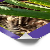 パープルフラワーズフローラアイリスマザーズDay Card ポスター (コーナー)