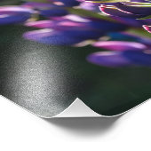 パープルフラワーズ春フォトプリント フォトプリント            (角)