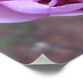 パープルフラワープリント ポスター (角)