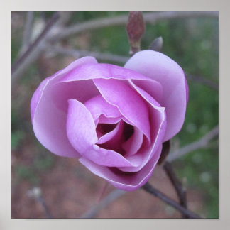 パープルフラワープリント ポスター