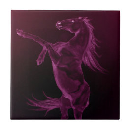 パープルフリシアの飼育用タイル タイル