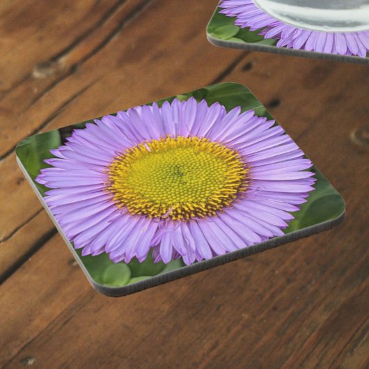 パープルフリーベンデイジーフローラ コースター