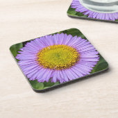 パープルフリーベンデイジーフローラ コースター (左側)