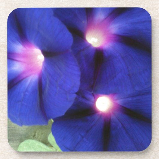 パープルフローラコースター コースター (正面)