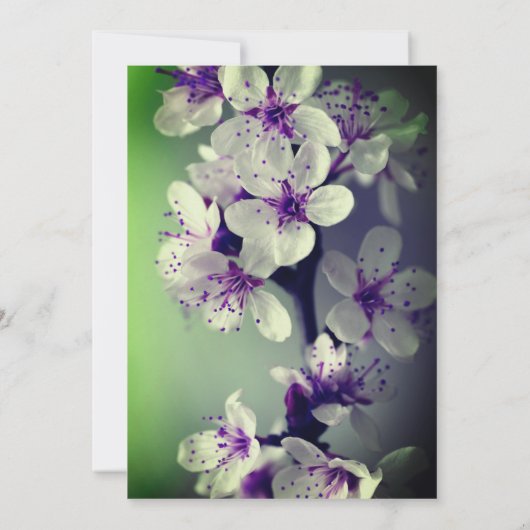 パープルフローラブロッサム結婚式招待状 招待状 (裏面)