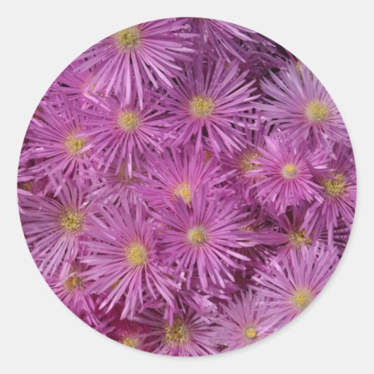 パープルフローラ封筒用シールシール ラウンドシール (正面)