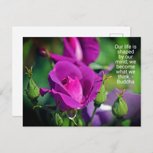 パープルブディングバラやる気を起こさせる引用文はがき ポストカード (正面/裏面)