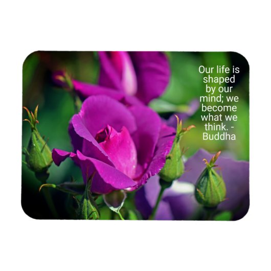 パープルブディングバラやる気を起こさせる引用文 マグネット (横)