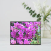 パープルブーゲンビリア ポストカード (スタンド正面)